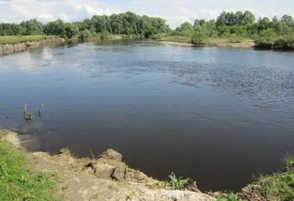 Чехоня ловля чехоні на спінінг як я ловив чехонь на блешні (чехоня) Чехоня ловля чехоні на спінінг як я ловив чехонь на блешні