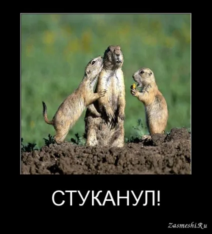 Що робити зі - стукачами - на роботі