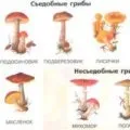 Що таке сонячний удар і як його уникнути - прості відповіді на складні питання (уникнути) Що таке сонячний удар і як його уникнути - прості відповіді на складні питання