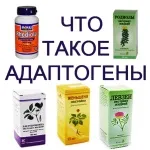 Що таке адаптогени