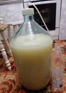 Що таке полугар
