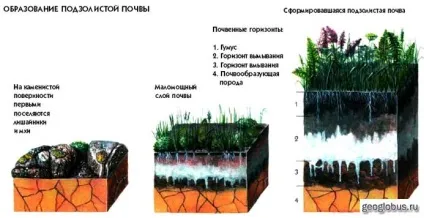 Що таке грунт