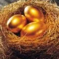 Квітковий бізнес як відкрити свій квітковий бізнес з нуля, ідеї квіткового бізнесу, квітковий (квітковий) Квітковий бізнес як відкрити свій квітковий бізнес з нуля, ідеї квіткового бізнесу, квітковий