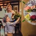 Квітковий бізнес як відкрити свій квітковий бізнес з нуля, ідеї квіткового бізнесу, квітковий (відкрити) Квітковий бізнес як відкрити свій квітковий бізнес з нуля, ідеї квіткового бізнесу, квітковий