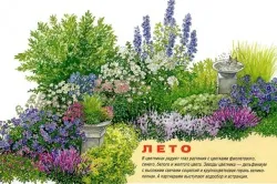 Квітник на дачі своїми руками цікаві ідеї (фото і відео) (дизайн дачі) Квітник на дачі своїми руками цікаві ідеї (фото і відео)