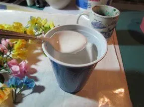 Квіти з гіпсу