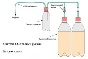 Co2 в рослинному акваріумі для початківців (акваріума своїми руками) Co2 в рослинному акваріумі для початківців