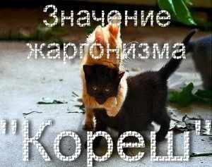 Що значить кореш на тюремному жаргоні хто такий кореш (це) Що значить кореш на тюремному жаргоні хто такий кореш