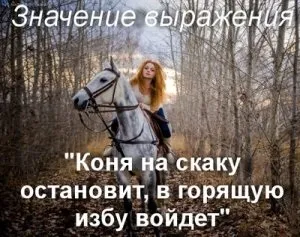 Що значить коня на скаку зупинить, в палаючу хату ввійде значення фрази (що означає) Що значить коня на скаку зупинить, в палаючу хату ввійде значення фрази