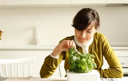 Click and grow edition 2