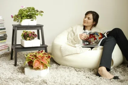 Click and grow edition 2