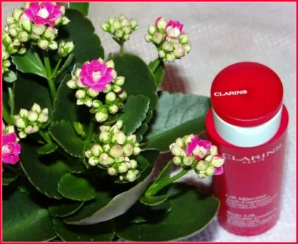Clarins моделює засіб для схуднення і проти целюліту lift minceur anti-capitons (clarins) Clarins моделює засіб для схуднення і проти целюліту lift minceur anti-capitons