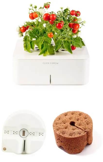 Click and grow edition 2