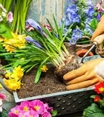 Теплиця або парник своїми руками що вибрати теплиця, парник, відмінності, матеріали, спорудження (руками) Теплиця або парник своїми руками що вибрати теплиця, парник, відмінності, матеріали, спорудження