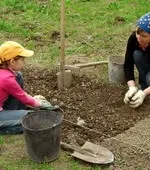 Теплиця або парник своїми руками що вибрати теплиця, парник, відмінності, матеріали, спорудження (руками) Теплиця або парник своїми руками що вибрати теплиця, парник, відмінності, матеріали, спорудження