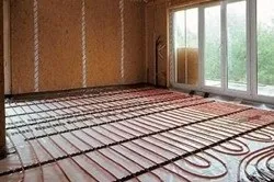тіньолюбні чагарники