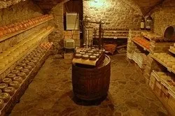тіньолюбні чагарники