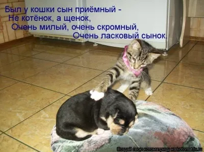 Текст пісні сумую, хочу бути з тобою поруч завжди, хочу прокидатися і засинати - улюблена, мила, (хочу бути з тобою поруч завжди) Текст пісні сумую, хочу бути з тобою поруч завжди, хочу прокидатися і засинати - улюблена, мила,