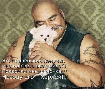 Текст пісні сумую, хочу бути з тобою поруч завжди, хочу прокидатися і засинати - улюблена, мила, (хочу) Текст пісні сумую, хочу бути з тобою поруч завжди, хочу прокидатися і засинати - улюблена, мила,