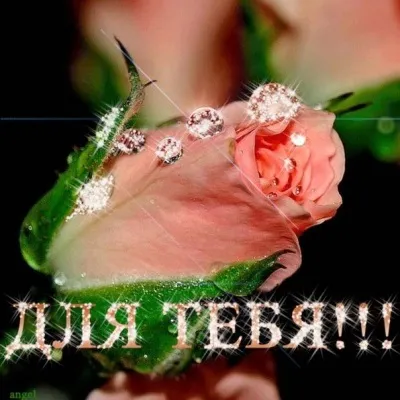 Текст пісні сумую, хочу бути з тобою поруч завжди, хочу прокидатися і засинати - улюблена, мила, (хочу прокидатися і засинати) Текст пісні сумую, хочу бути з тобою поруч завжди, хочу прокидатися і засинати - улюблена, мила,