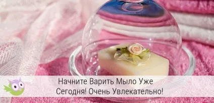 Технологія миловаріння в домашніх умовах гарячий і холодний метод, рецепти (миловаріння) Технологія миловаріння в домашніх умовах гарячий і холодний метод, рецепти