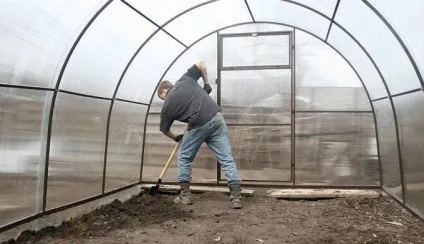 Теплиця на дачі