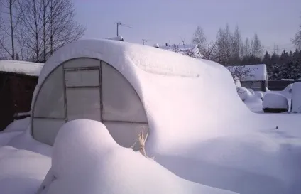 Теплиця на дачі