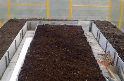 Теплиця на дачі