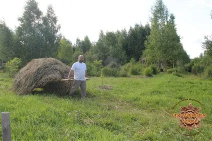 Візок для коня своїми руками (коні) Візок для коня своїми руками