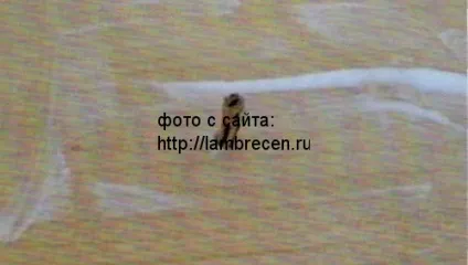 Декорування меблів тканиною своїми руками, штори, ламбрекени, домашній текстиль своїми руками (меблів) Декорування меблів тканиною своїми руками, штори, ламбрекени, домашній текстиль своїми руками