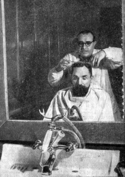 Деталі стрижок їжачок, бобрик і каре 1960 мейтарджянц х (каре) Деталі стрижок їжачок, бобрик і каре 1960 мейтарджянц х