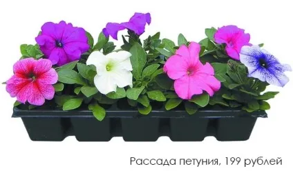 Дизайн балкона