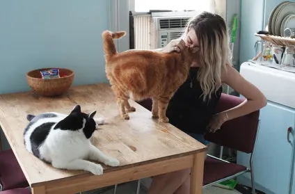 Дівчина з котом