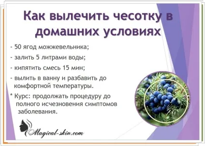 Дезінфекція приміщення при корості в домашніх умовах обробка будинку, білизни, речей, одягу (дезінфекція приміщення короста домашнє умова збудник будинок обробка білизна річ одяг м'які меблі кліщ гине) Дезінфекція приміщення при корості в домашніх умовах обробка будинку, білизни, речей, одягу