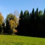 Для чого потрібно межування (межування) Для чого потрібно межування
