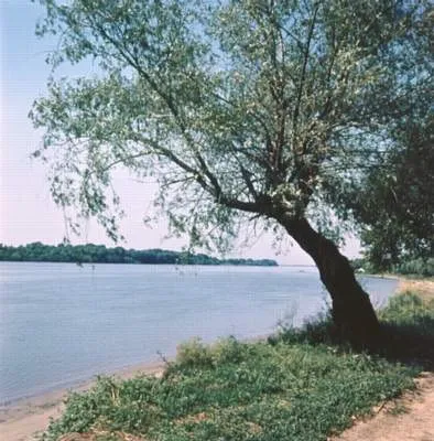 Дон - це