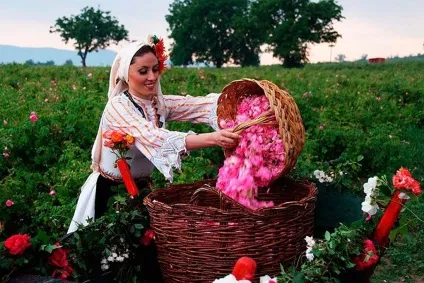 Долина троянд, болгарія