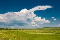 Економічна оцінка земель 1 (Економічна оцінка земель) Економічна оцінка земель 1