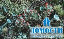 Екосистема хвойного лісу