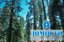 Екосистема хвойного лісу