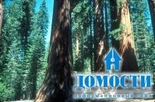Екосистема хвойного лісу