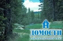 Екосистема хвойного лісу
