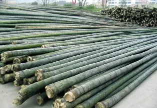 ЕКОПАНЕЛІ для стін в 3d варіаціях