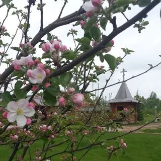 Пам'ятки Сергієва посада