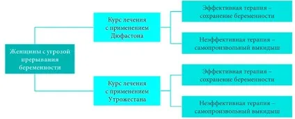 Дюфастон і овуляція