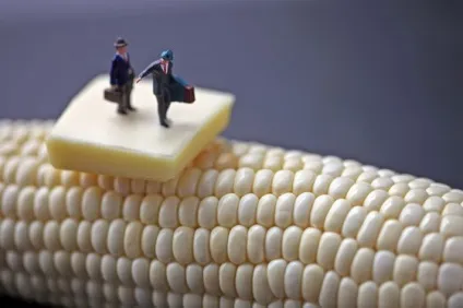 Їжа під мікроскопом