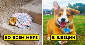 Ці художники малюють чарівні світи, в яких хочеться загубитися (чарівні) Ці художники малюють чарівні світи, в яких хочеться загубитися