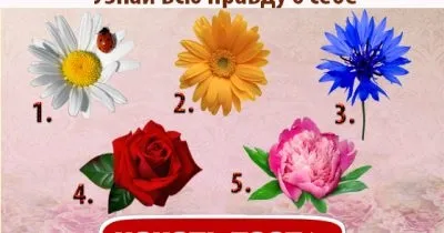 Цей тест визначить ваш інтелектуальний вік, все про все! (Тест) Цей тест визначить ваш інтелектуальний вік, все про все!