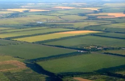 Електронна карта полів (ЕКП) продаж, ціна в Житомирі (кадастровий облік) Електронна карта полів (ЕКП) продаж, ціна в Житомирі