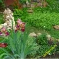 Фонтан з покришки своїми руками (руками) Фонтан з покришки своїми руками